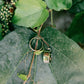 Timeless Hoops