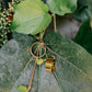 Timeless Hoops