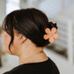Daisy Claw in Coral