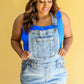 Devon Distressed Shortalls