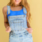 Devon Distressed Shortalls