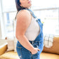 Ryder Distressed Shortalls