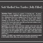 Sweetables | Soft Shelled Sea Turtles (Jelly Filled)